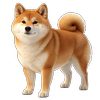 Shiba Inu